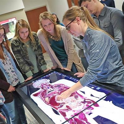 students gather around a video board showing anatomy